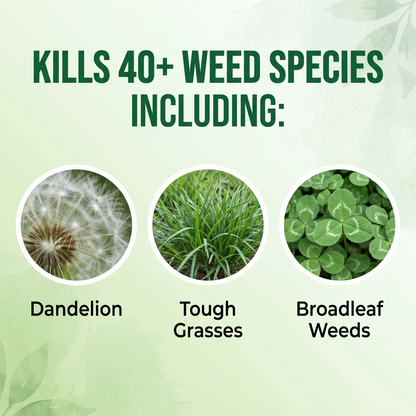 🔥 Advanced 2-in-1 Pro+ Herbicide | Upgraded Formula for 6-Hour Rapid Kill, Root Eradication & Destroys Glyphosate-Resistant Weeds KB